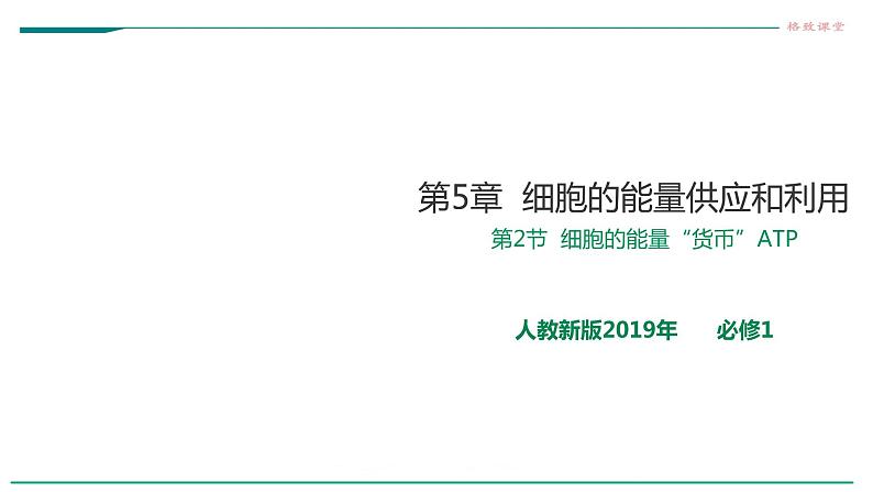 高中生物必修一 5.2细胞中的能量货币ATP 课件01