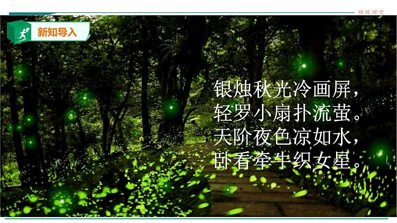 高中生物必修一 5.2细胞中的能量货币ATP 课件02