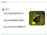 高中生物必修一 5.2细胞中的能量货币ATP 课件