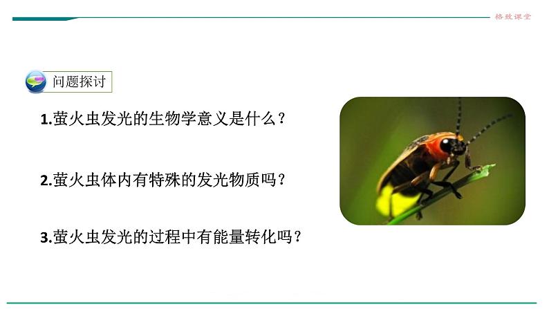 高中生物必修一 5.2细胞中的能量货币ATP 课件03