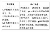 高中生物必修一 5.1 降低化学反应活化能的酶-2 课件