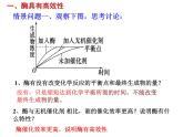 高中生物必修一 5.1 降低化学反应活化能的酶-2 课件