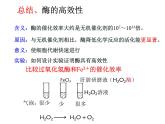 高中生物必修一 5.1 降低化学反应活化能的酶-2 课件