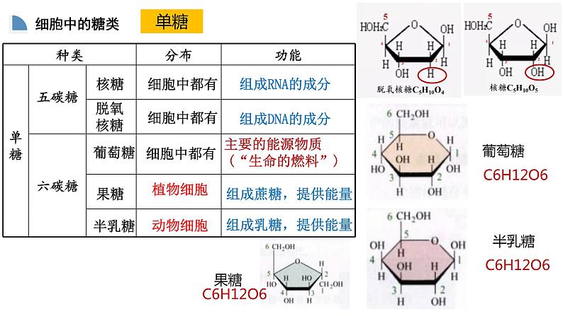 高中生物必修一 2.3细胞中的糖和脂质 课件-2021-2022学年高一上学期第4页