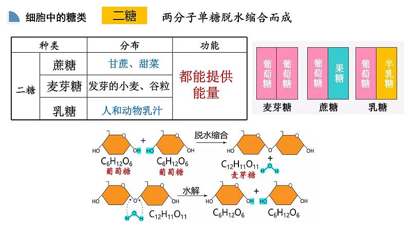 高中生物必修一 2.3细胞中的糖和脂质 课件-2021-2022学年高一上学期第5页