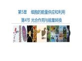 高中生物必修一 5.4光合作用与能量转化(3) 课件-2021-2022学年高一上学期