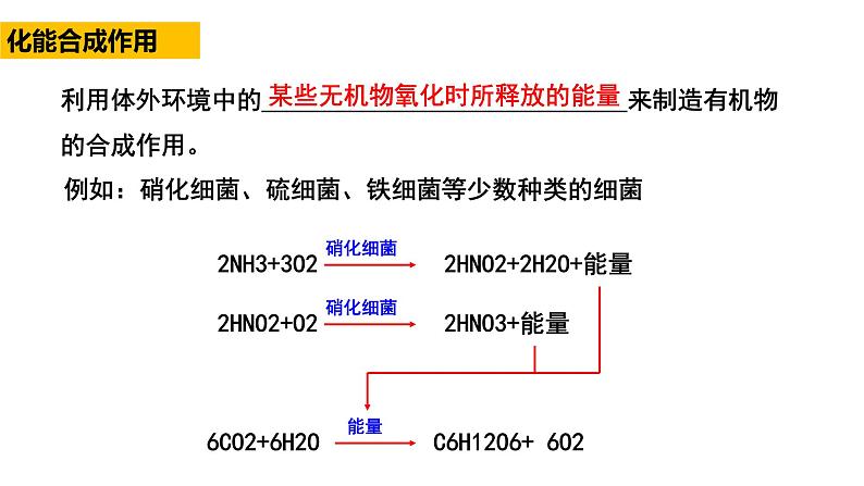 高中生物必修一 5.4光合作用与能量转化(3) 课件-2021-2022学年高一上学期第3页