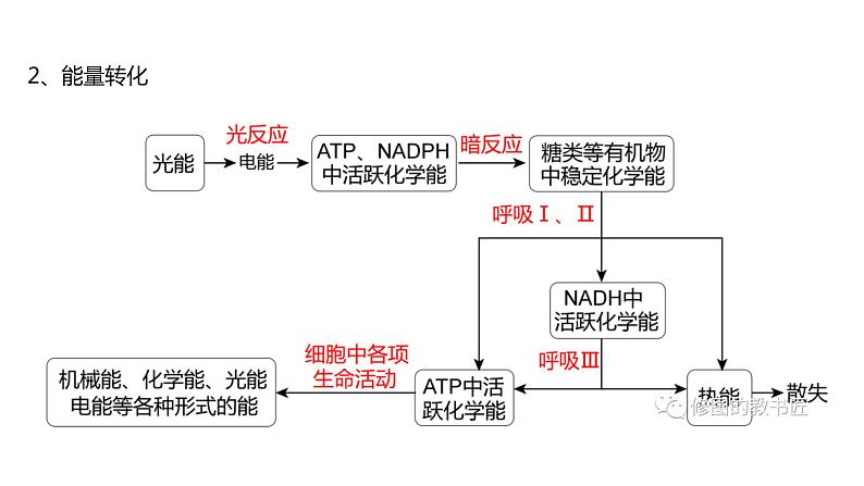 高中生物必修一 5.4光合作用与能量转化(3) 课件-2021-2022学年高一上学期第8页