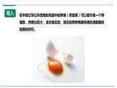 高中生物必修一 3.1细胞膜的结构和功能（课时1） 课件