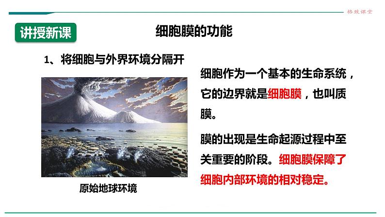 高中生物必修一 3.1细胞膜的结构和功能（课时1）第4页