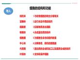 高中生物必修一 3.2细胞器之间的分工合作（课时 课件