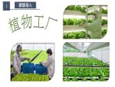 高中生物必修一 5.4.1 捕获光能的色素和结构 课件