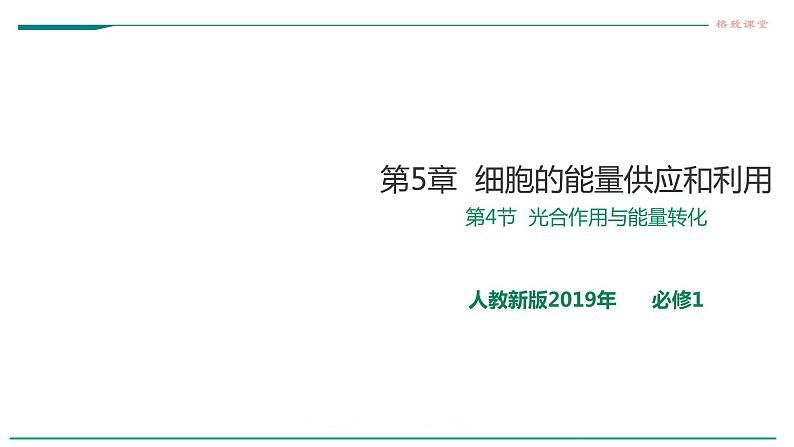 高中生物必修一 5.4.1捕获光能的色素和结构 课件01