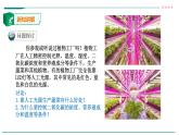 高中生物必修一 5.4.1捕获光能的色素和结构 课件