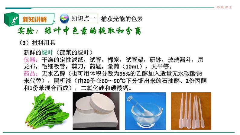 高中生物必修一 5.4.1捕获光能的色素和结构 课件07