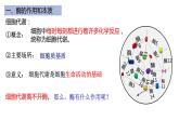 高中生物必修一 5.1降低化学反应活化能的酶-1 课件