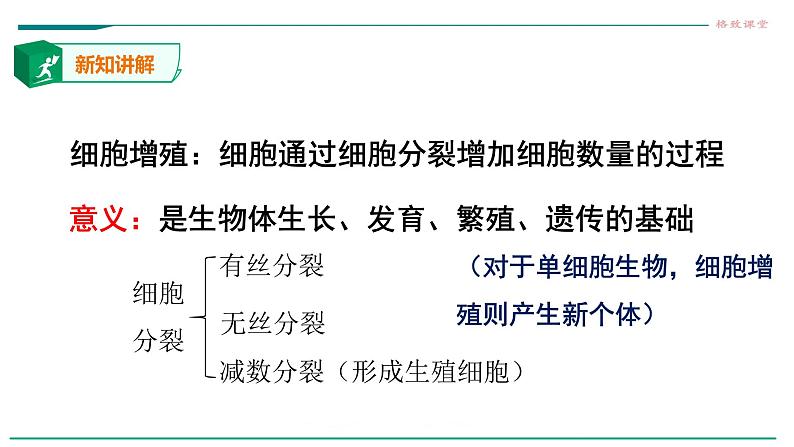 高中生物必修一 6.1细胞的增殖（第一课时）第3页