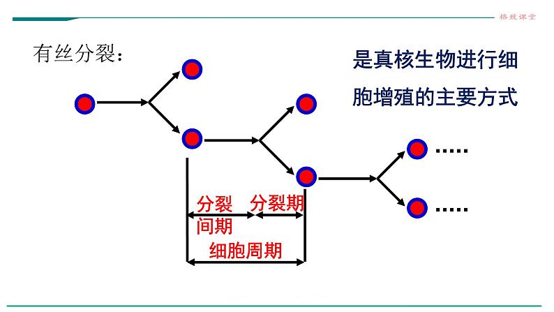 高中生物必修一 6.1细胞的增殖（第一课时）第4页