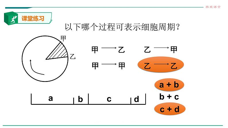 高中生物必修一 6.1细胞的增殖（第一课时）第5页