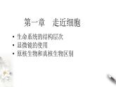 高中生物必修一 第一章 走近细胞章综合 课件