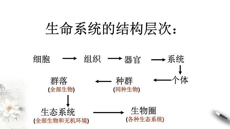 高中生物必修一 第一章 走近细胞章综合 课件第4页