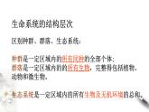 高中生物必修一 第一章 走近细胞章综合 课件