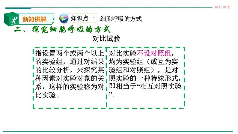 高中生物必修一 5.3细胞呼吸的原理及应用 课件05