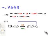 高中生物必修一 5.4.2 光合作用与能量转化 课件(共18张)