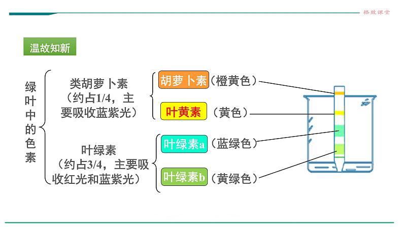 高中生物必修一 第2章 第1节 细胞中的元素和化合物 课件03