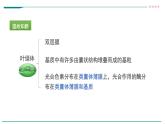 高中生物必修一 第2章 第1节 细胞中的元素和化合物 课件