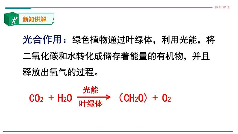 高中生物必修一 第2章 第1节 细胞中的元素和化合物 课件05