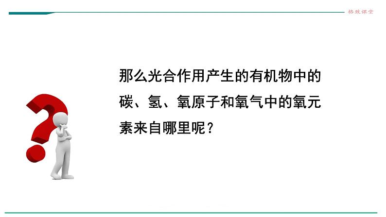 高中生物必修一 第2章 第1节 细胞中的元素和化合物 课件06