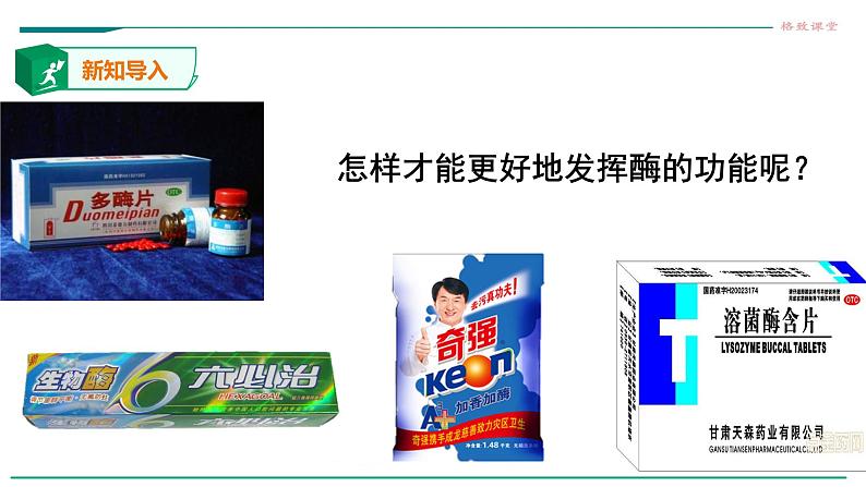 高中生物必修一 5.1降低化学反应活化能的酶（第二课时 酶的特性） 课件02