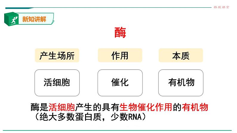 高中生物必修一 5.1降低化学反应活化能的酶（第二课时 酶的特性） 课件03