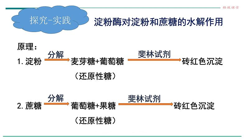 高中生物必修一 5.1降低化学反应活化能的酶（第二课时 酶的特性） 课件05