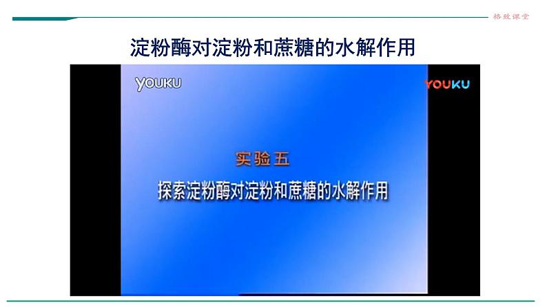 高中生物必修一 5.1降低化学反应活化能的酶（第二课时 酶的特性） 课件06