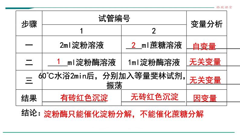 高中生物必修一 5.1降低化学反应活化能的酶（第二课时 酶的特性） 课件07