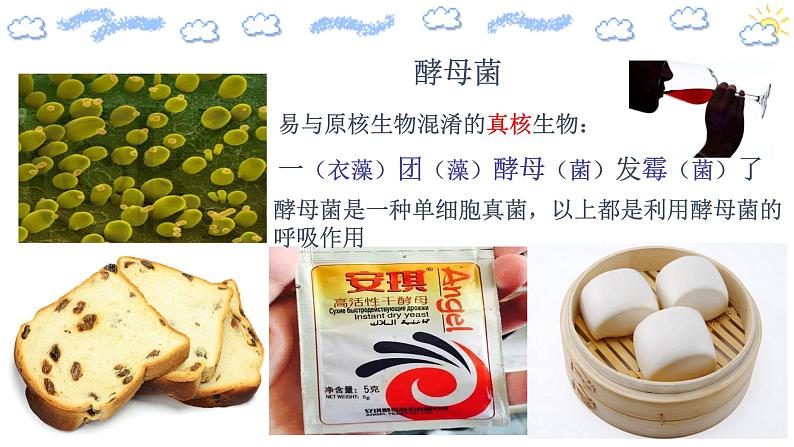 高中生物必修一 5.3.1细胞呼吸的原理和应用第4页