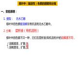 高中生物必修一 5.4光合作用与能量转化(1) 课件-2021-2022学年高一上学期