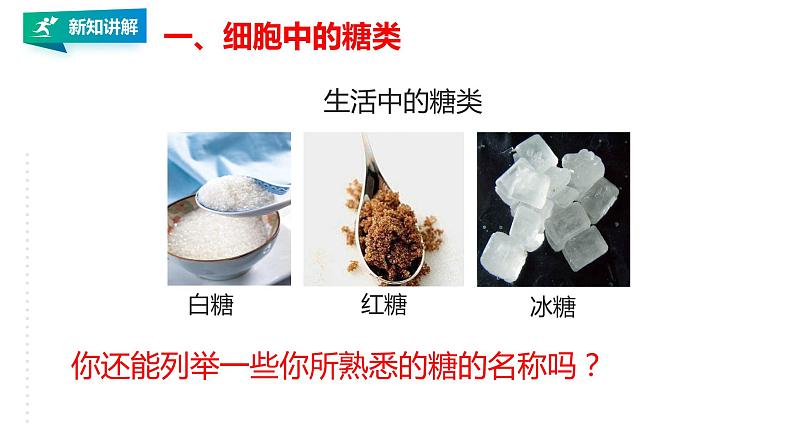 高中生物必修一 2.3 细胞中的糖类和脂质 课件05