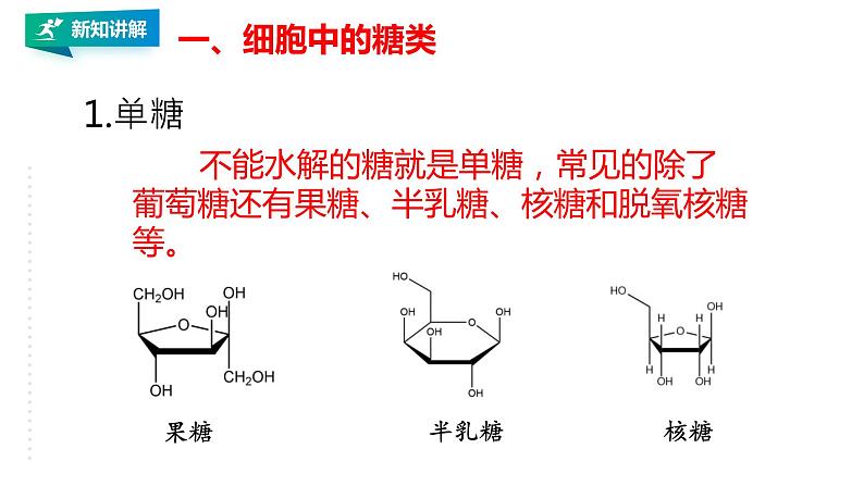 高中生物必修一 2.3 细胞中的糖类和脂质 课件08