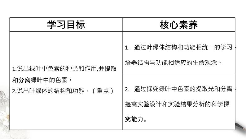 高中生物必修一 5.4.1 光合作用与能量转化 课件(共19张)02