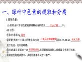 高中生物必修一 5.4.1 光合作用与能量转化 课件(共19张)