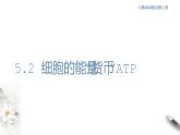 高中生物必修一 5.2 细胞的能量“通货”ATP 课件(共21张)