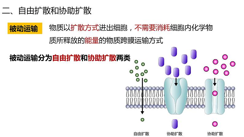 高中生物必修一 4.2主动运输与胞吞胞吐 课件-2021-2022学年高一上学期第2页