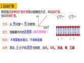 高中生物必修一 4.2主动运输与胞吞胞吐 课件-2021-2022学年高一上学期