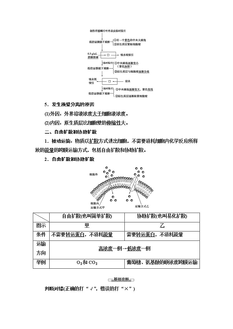 高中生物必修一 第4章 第1节 第2课时　探究植物细胞的吸水和失水与被动运输 讲义第2页