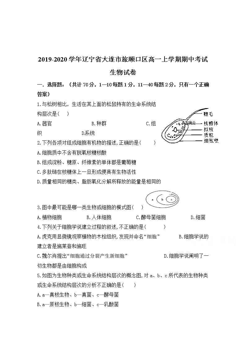 高中生物必修一 2019-2020学年辽宁省大连市旅顺口区高一上学期期中考试生物试卷第1页