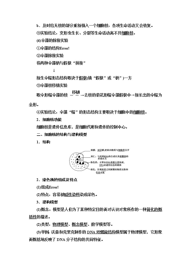 高中生物必修一 第3章 第3节　细胞核的结构和功能 讲义第2页