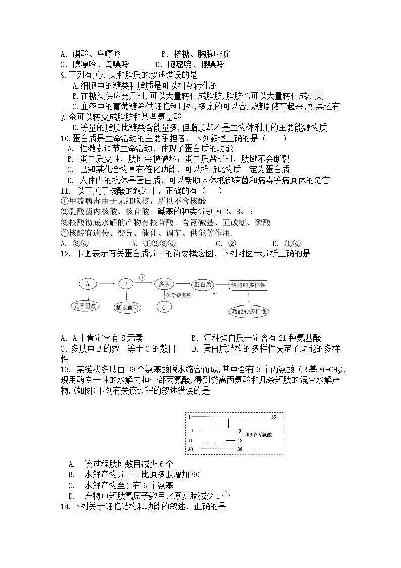 高中生物必修一 2019-2020年辽宁省六校协作体高一上学期期中考试生物试卷02